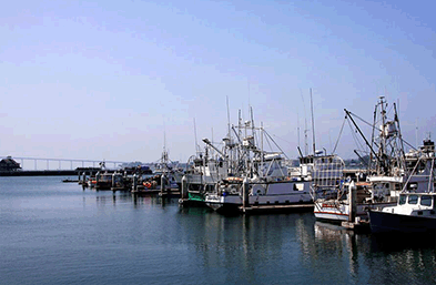 青島海運(yùn)業(yè)務(wù)知識干貨